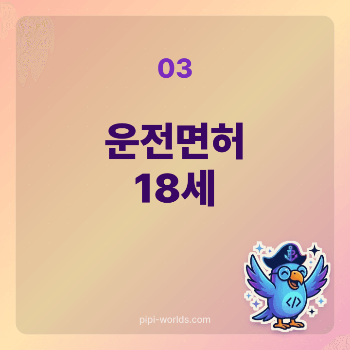 1·2종 보통은 만 18세, 1종 대형은 만 19세부터 응시 가능한 도로교통법 카드